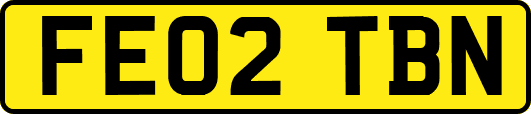 FE02TBN