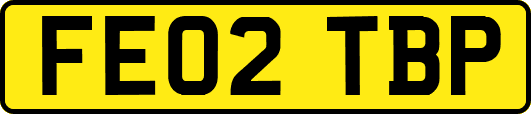 FE02TBP
