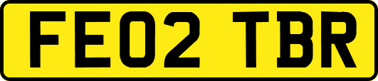 FE02TBR
