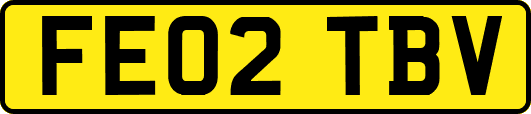 FE02TBV