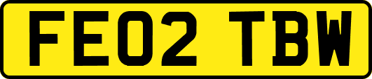 FE02TBW