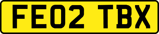 FE02TBX