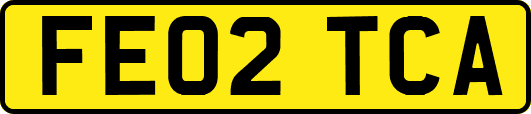 FE02TCA