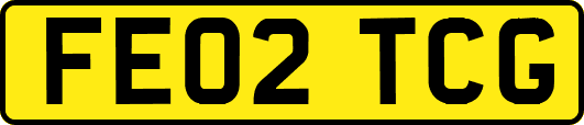 FE02TCG