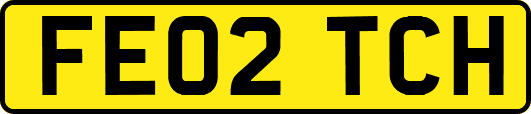 FE02TCH