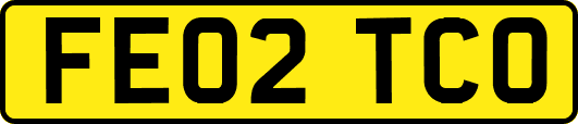 FE02TCO