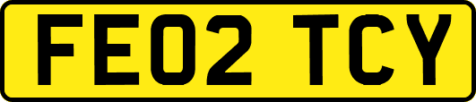 FE02TCY