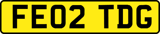 FE02TDG
