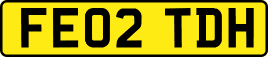 FE02TDH