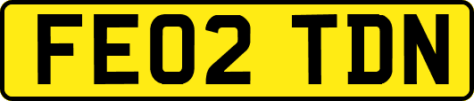 FE02TDN