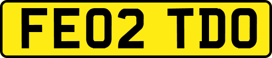 FE02TDO