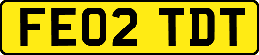 FE02TDT