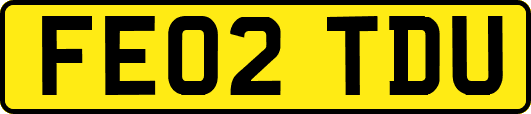 FE02TDU