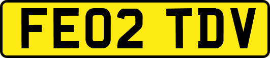FE02TDV