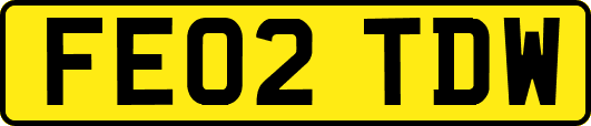 FE02TDW