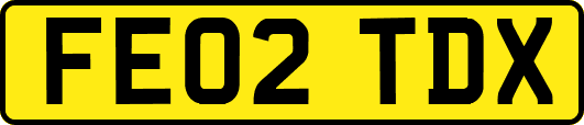 FE02TDX