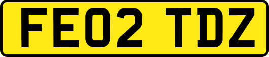 FE02TDZ