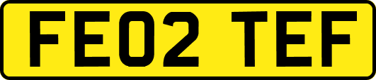 FE02TEF