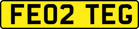 FE02TEG