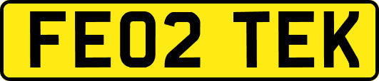 FE02TEK