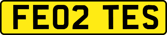 FE02TES