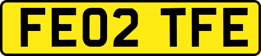 FE02TFE