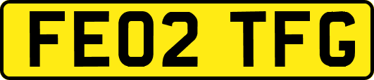 FE02TFG