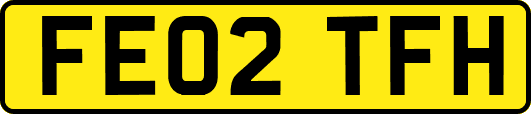 FE02TFH