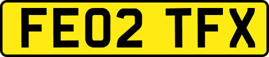 FE02TFX