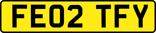 FE02TFY