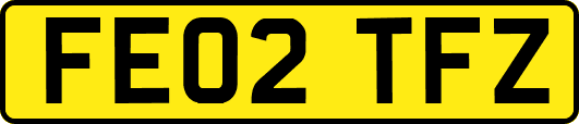FE02TFZ