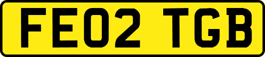 FE02TGB