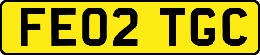FE02TGC
