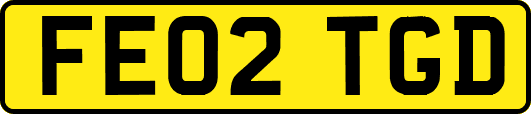 FE02TGD