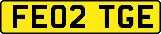 FE02TGE