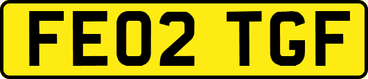 FE02TGF
