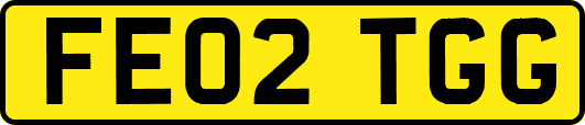 FE02TGG
