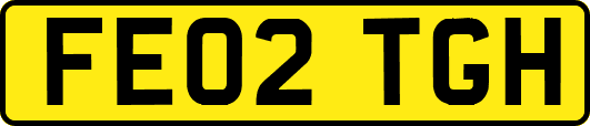FE02TGH