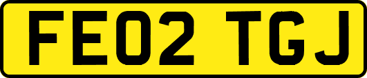 FE02TGJ
