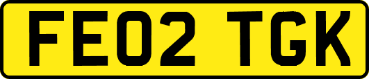 FE02TGK
