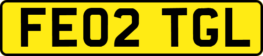 FE02TGL