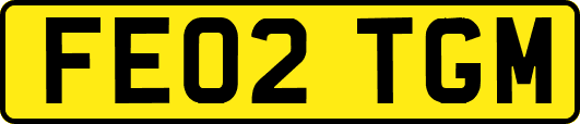 FE02TGM