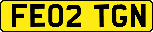 FE02TGN