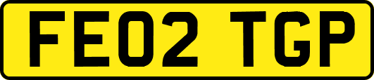 FE02TGP