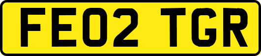 FE02TGR