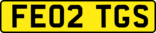 FE02TGS