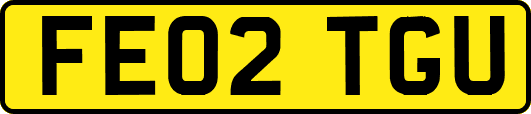 FE02TGU