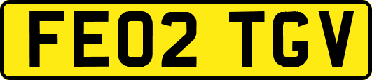 FE02TGV