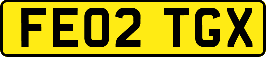 FE02TGX