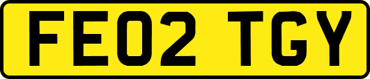 FE02TGY